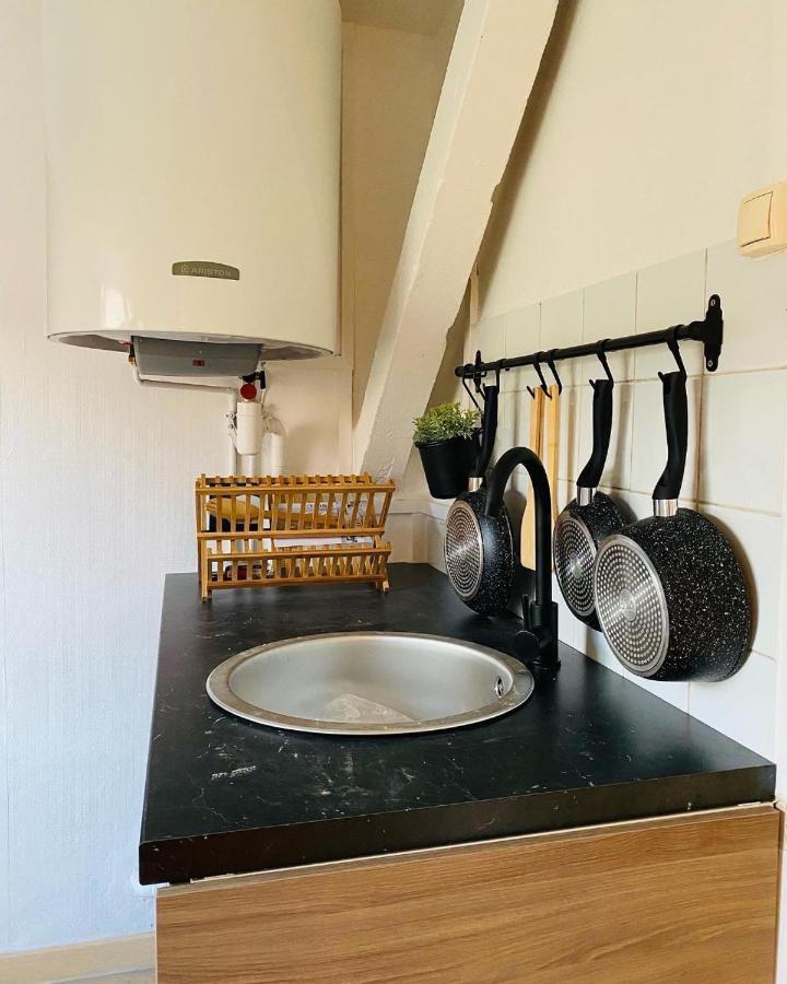 Appartement Avec Terrasse - Goupama Stadium, Eurexpo, Ldlc Arena, La Soie Vaulx-en-Velin Kültér fotó