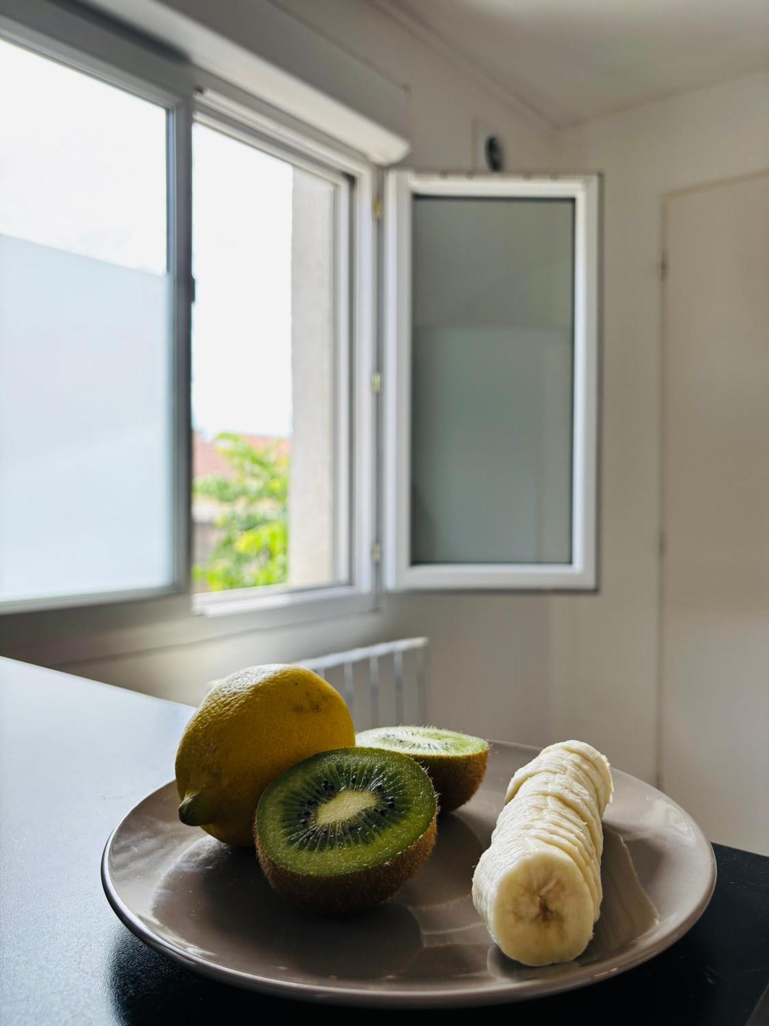 Appartement Avec Terrasse - Goupama Stadium, Eurexpo, Ldlc Arena, La Soie Vaulx-en-Velin Kültér fotó