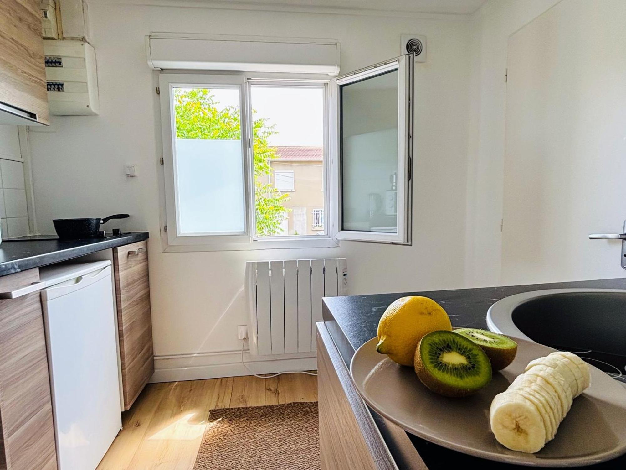 Appartement Avec Terrasse - Goupama Stadium, Eurexpo, Ldlc Arena, La Soie Vaulx-en-Velin Kültér fotó